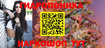 амф Бийск