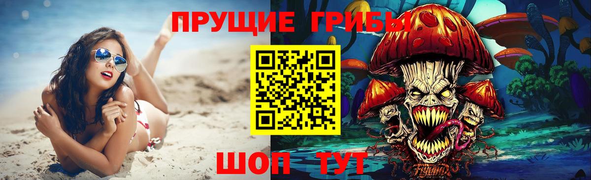 Кимры  Псилоцибиновые грибы Magic Shrooms  Вход с VPN 