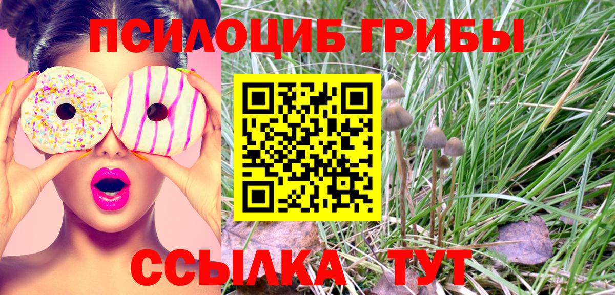 Галлюциногенные грибы MAGIC MUSHROOMS Кимры